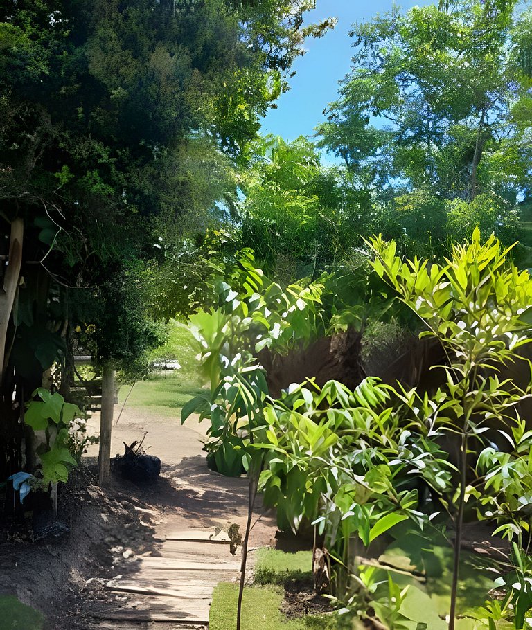 Casa Contêiner Conexão Natureza Reserva Sapiranga