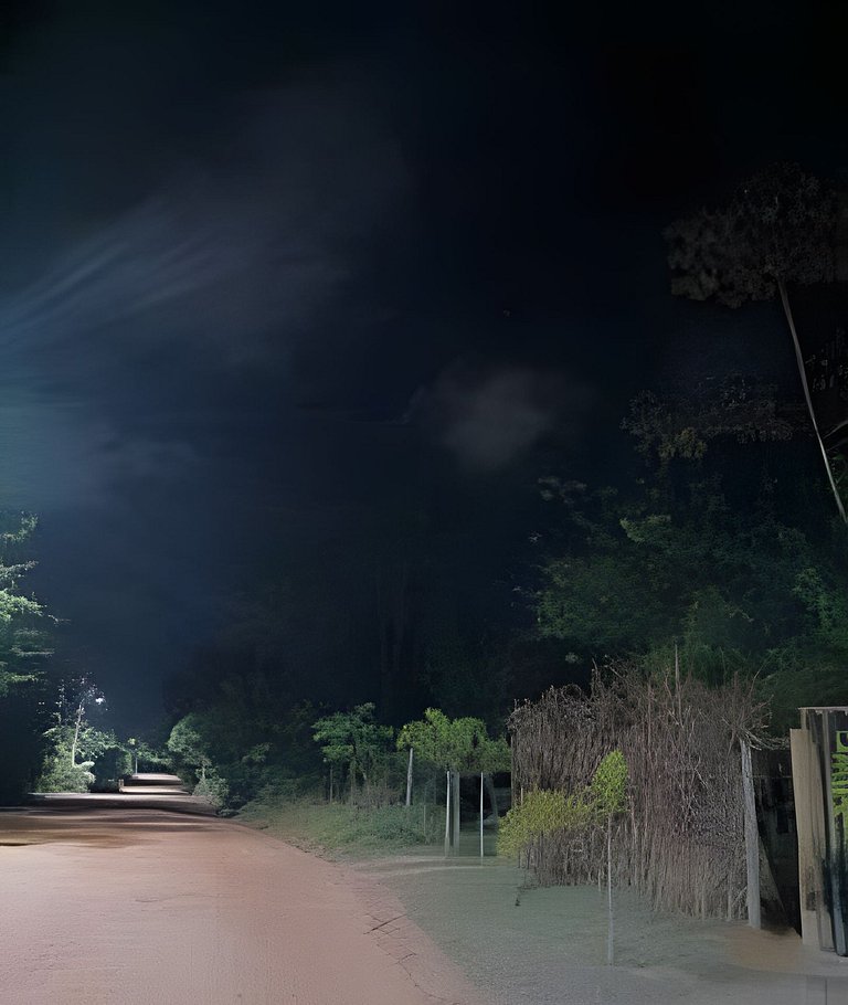 Casa Contêiner Conexão Natureza Reserva Sapiranga